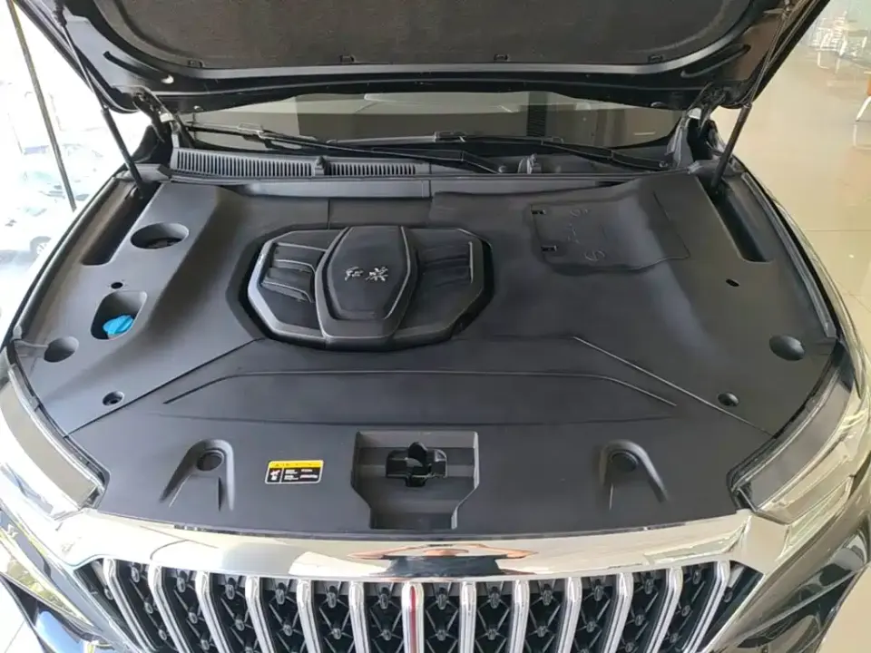 Hongqi Hongqi HS5