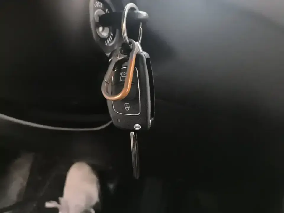Hyundai Elantra Langdong
