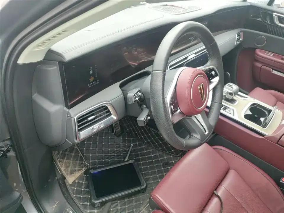 Hongqi Hongqi E-HS9