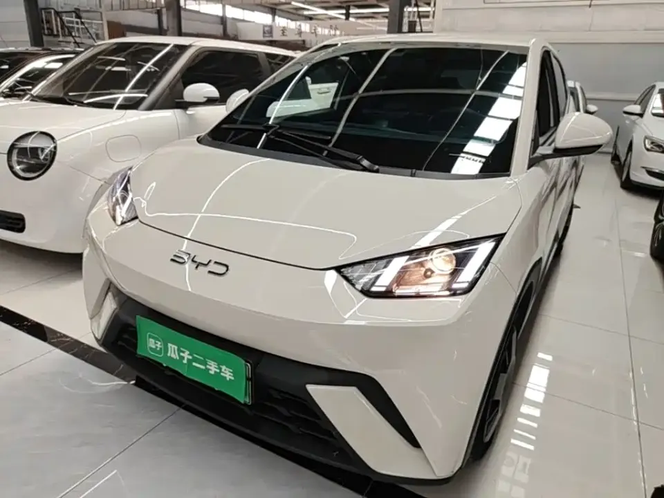 BYD Seagull