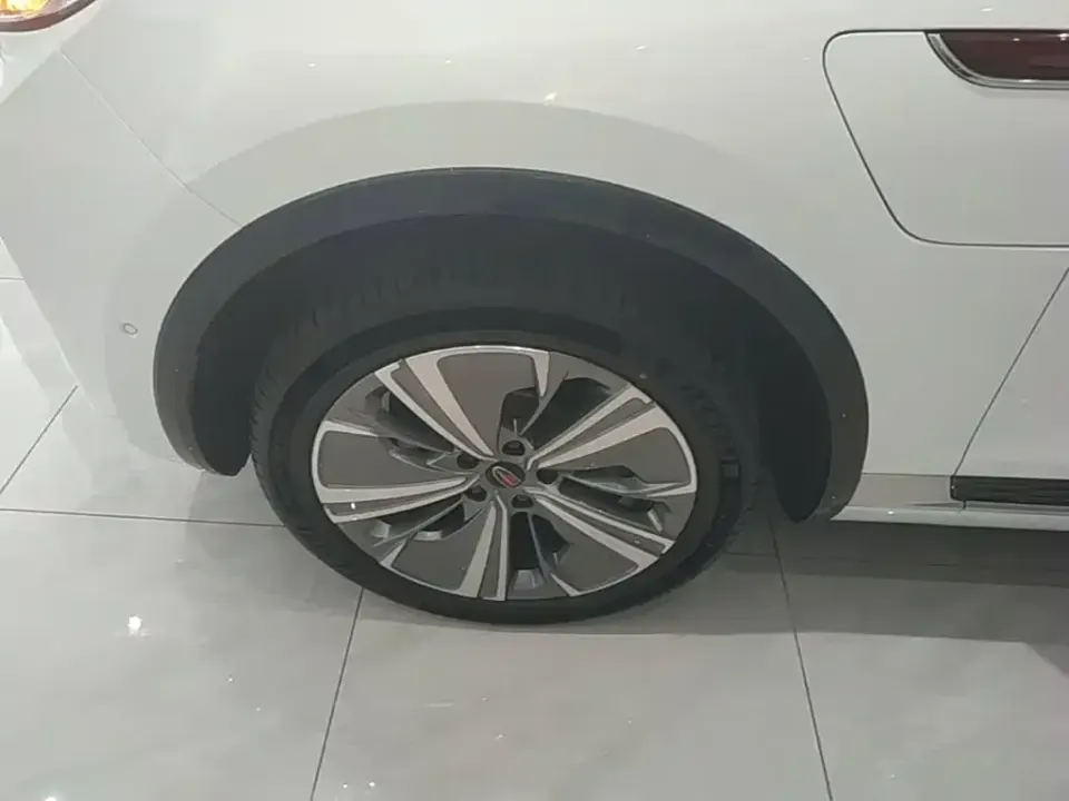 Hongqi Hongqi E-HS9