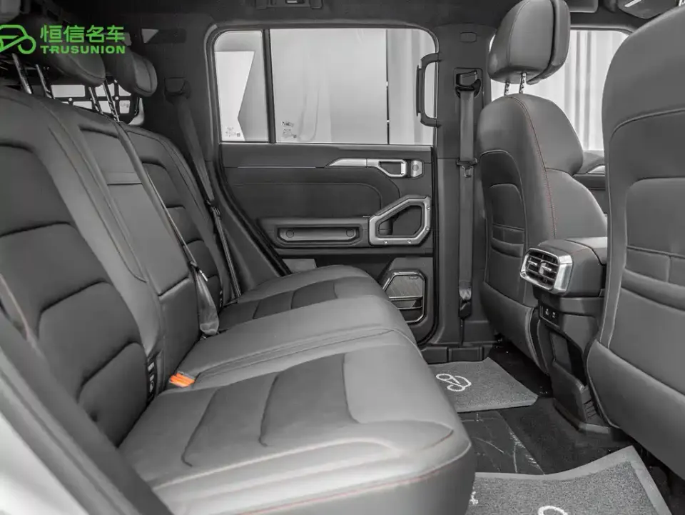 Shanhai Traveller C-DM