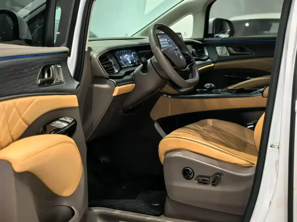 Denza Denza D9