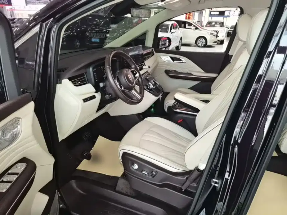 Hongqi Hongqi HQ9
