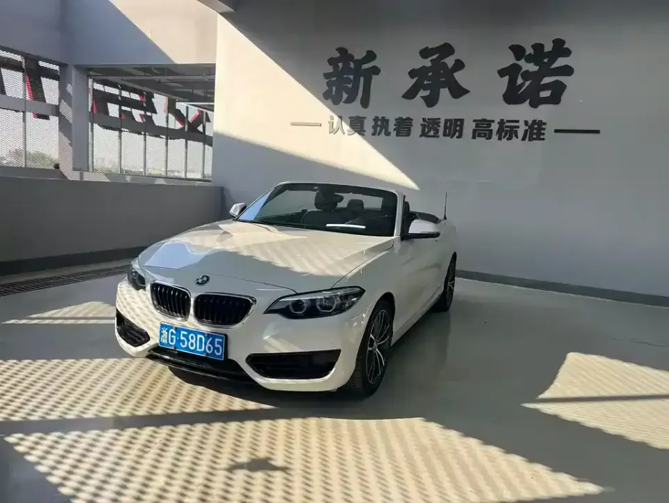 BMW 2 Series (Import)