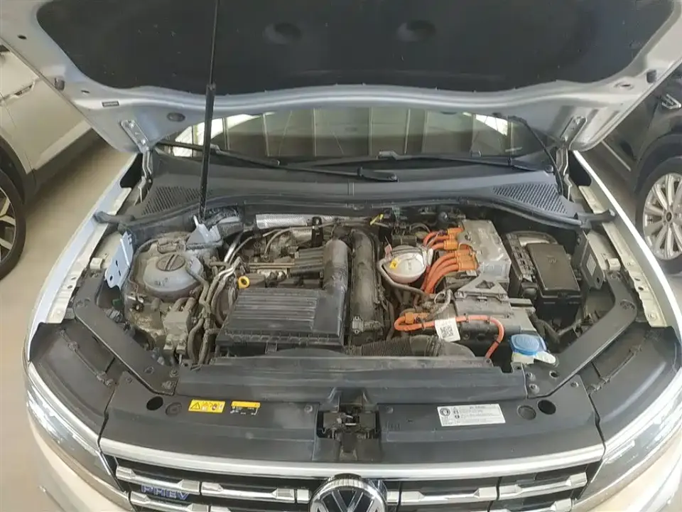 Volkswagen Tiguan L New Energy