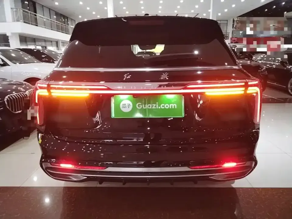 Hongqi Hongqi E-HS9