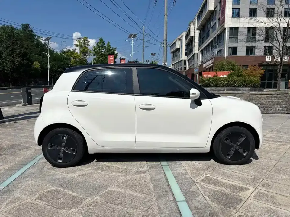 ORA Ora Black Cat