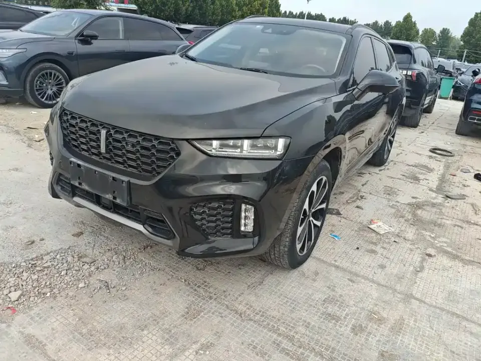 WEY Wey VV7