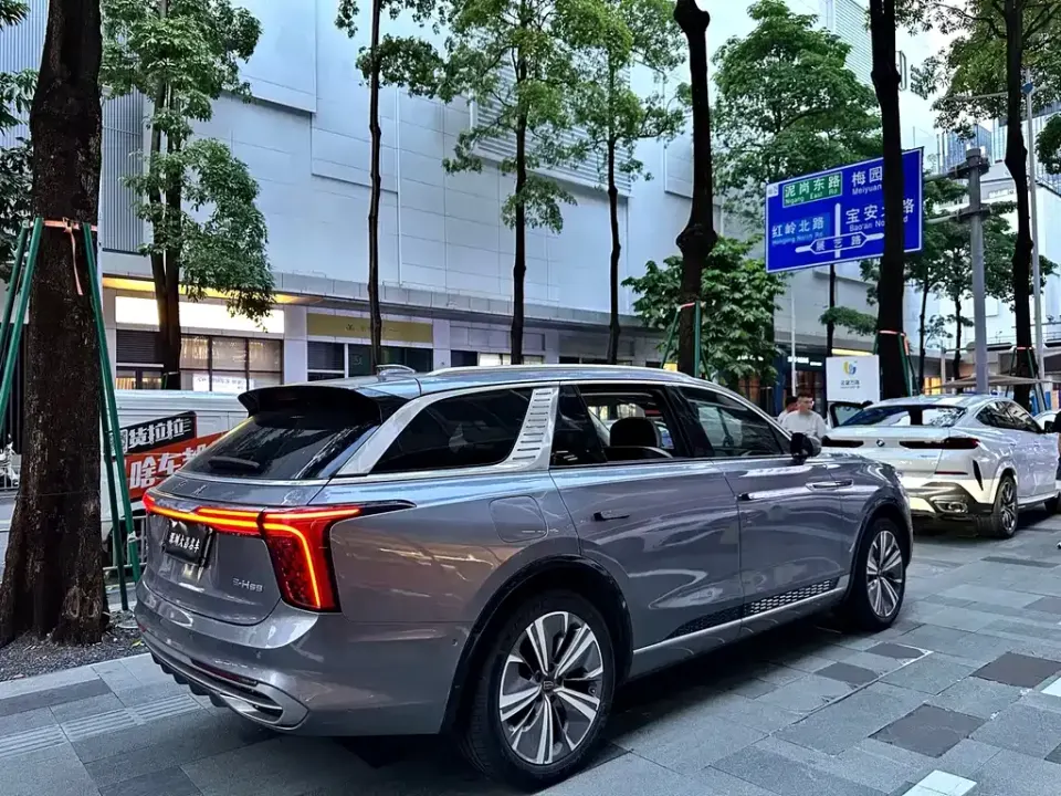 Hongqi Hongqi E-HS9