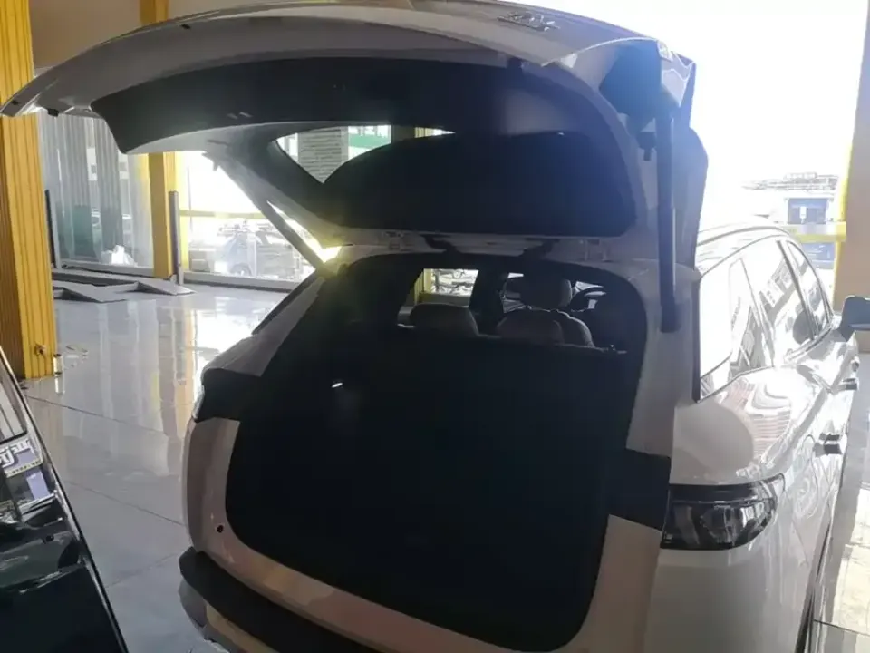 BYD L DM-i