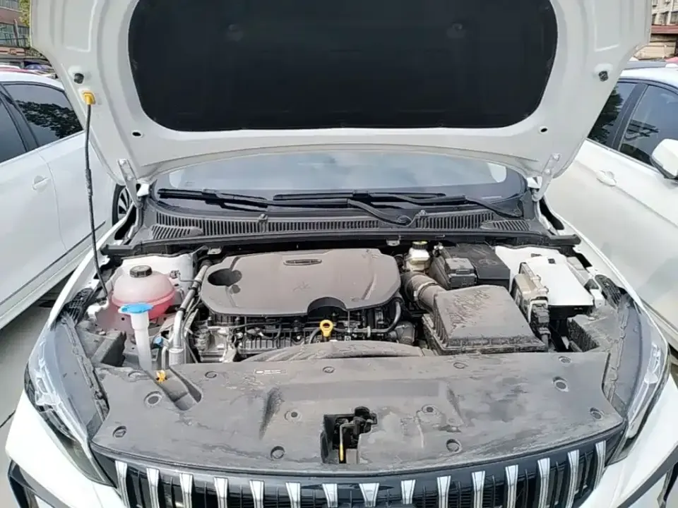 Geely Binrui