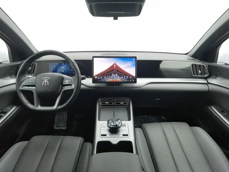 BYD Pro New Energy