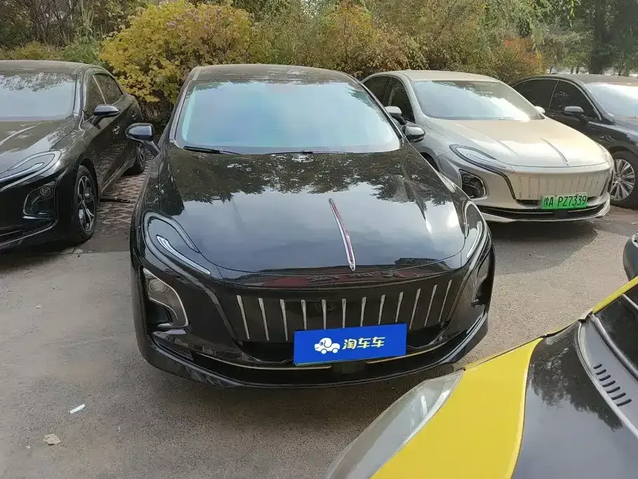 Hongqi Hongqi E-QM5
