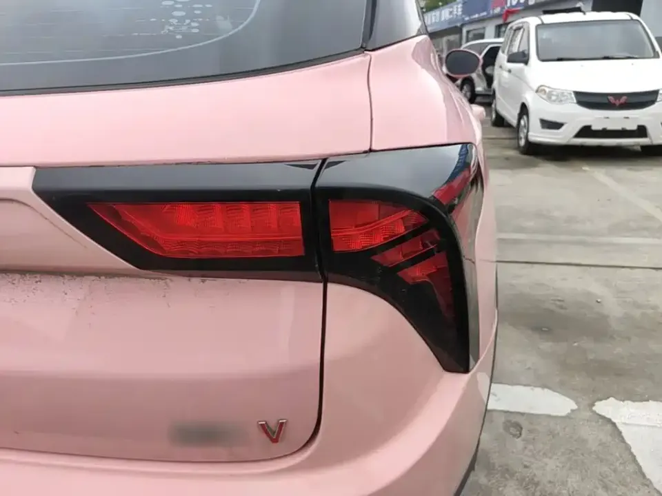Neta Neta V