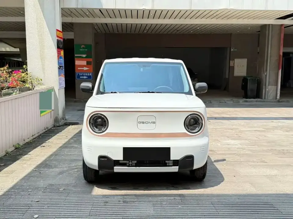 Galaxy Panda