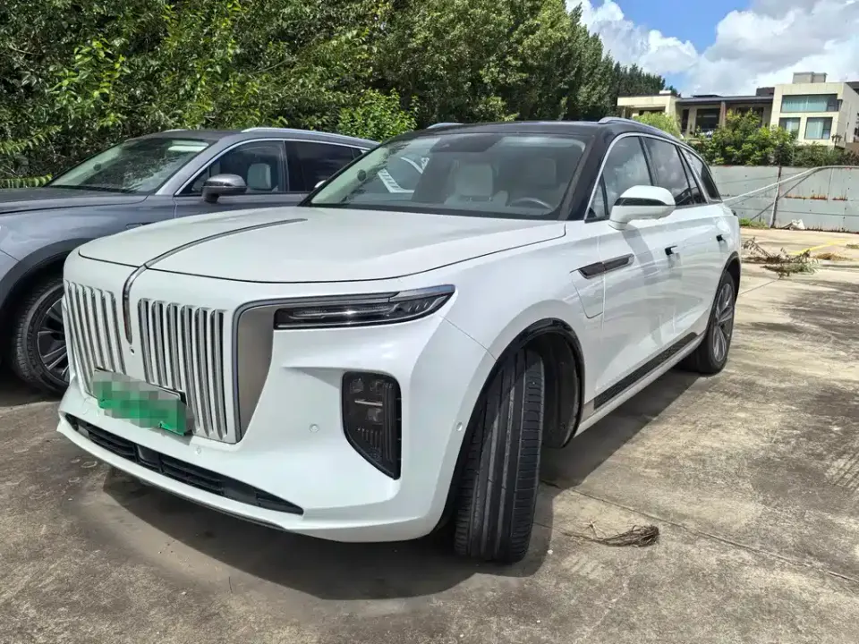 Hongqi Hongqi E-HS9