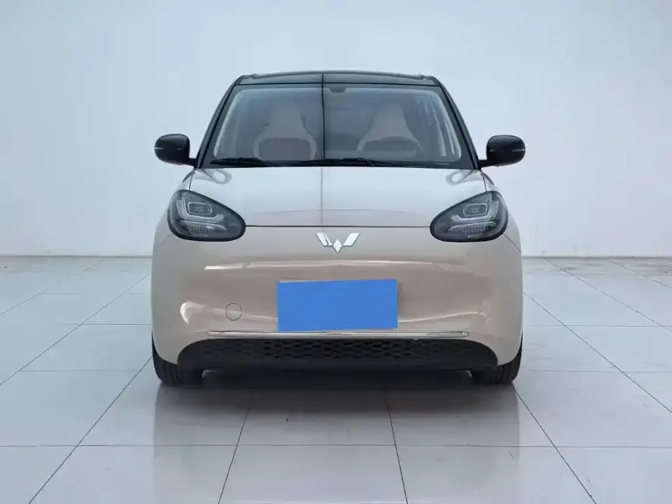 Wuling Bingo
