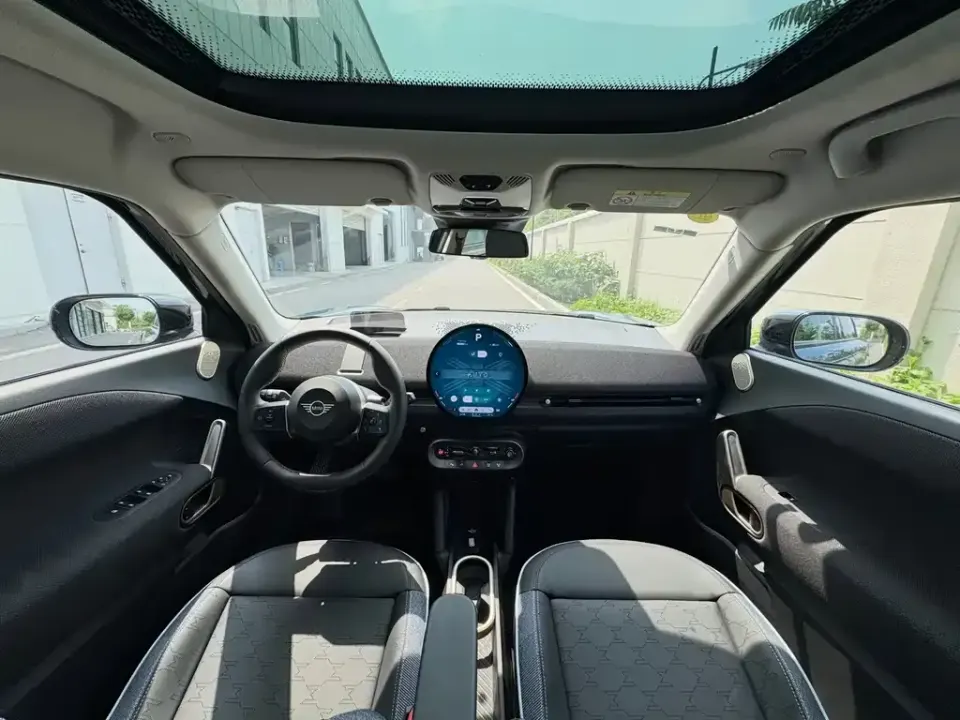 MINI MINI ACEMAN EV