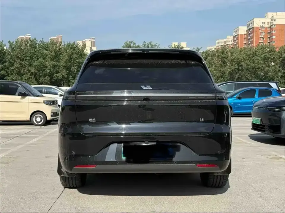 Li Li L6
