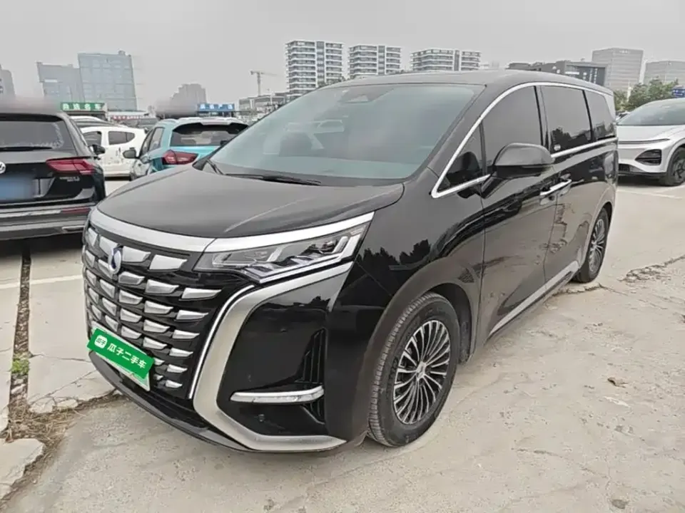 Denza Denza D9