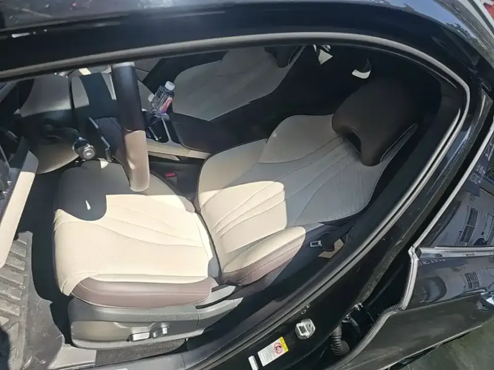 BYD PLUS New Energy