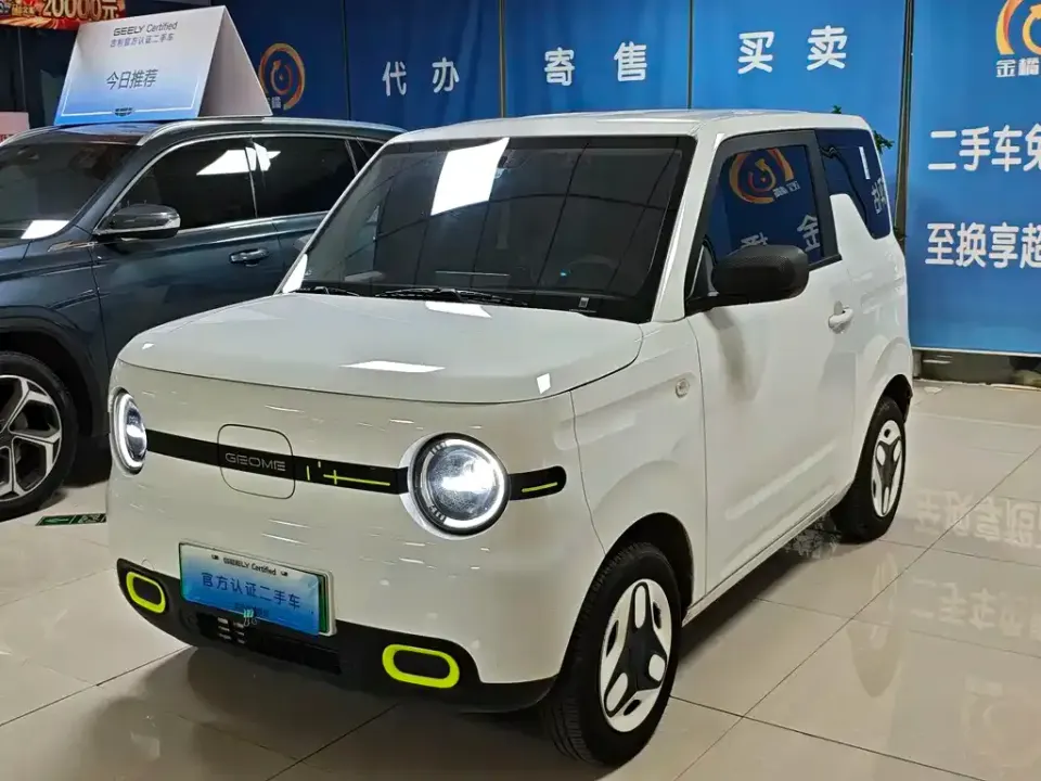 Galaxy Panda