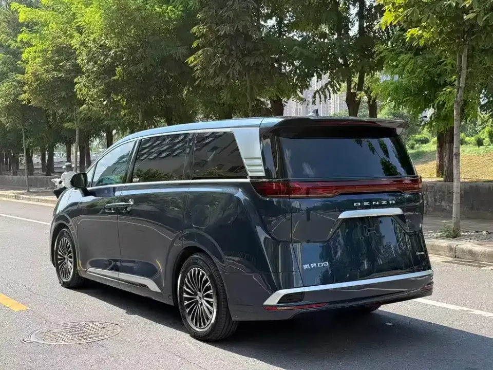 Denza Denza D9