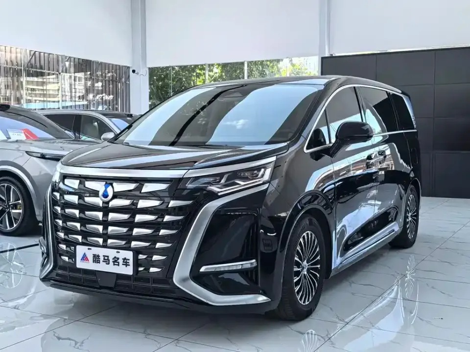 Denza Denza D9