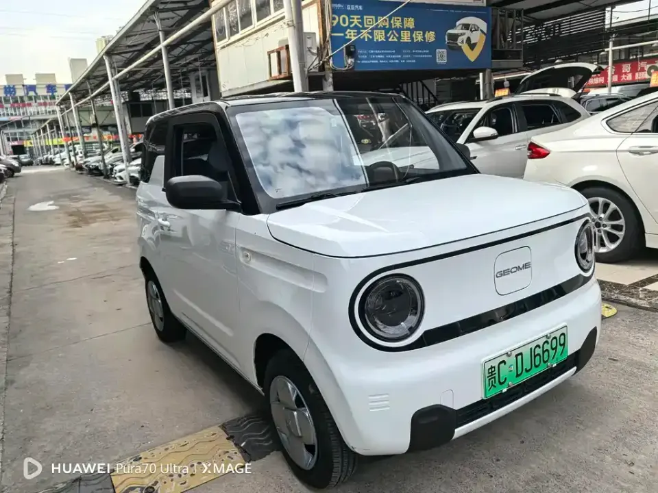 Galaxy Panda
