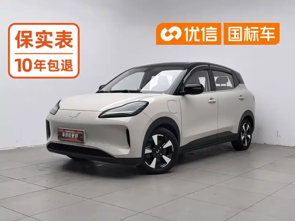 Wuling Bingo PLUS