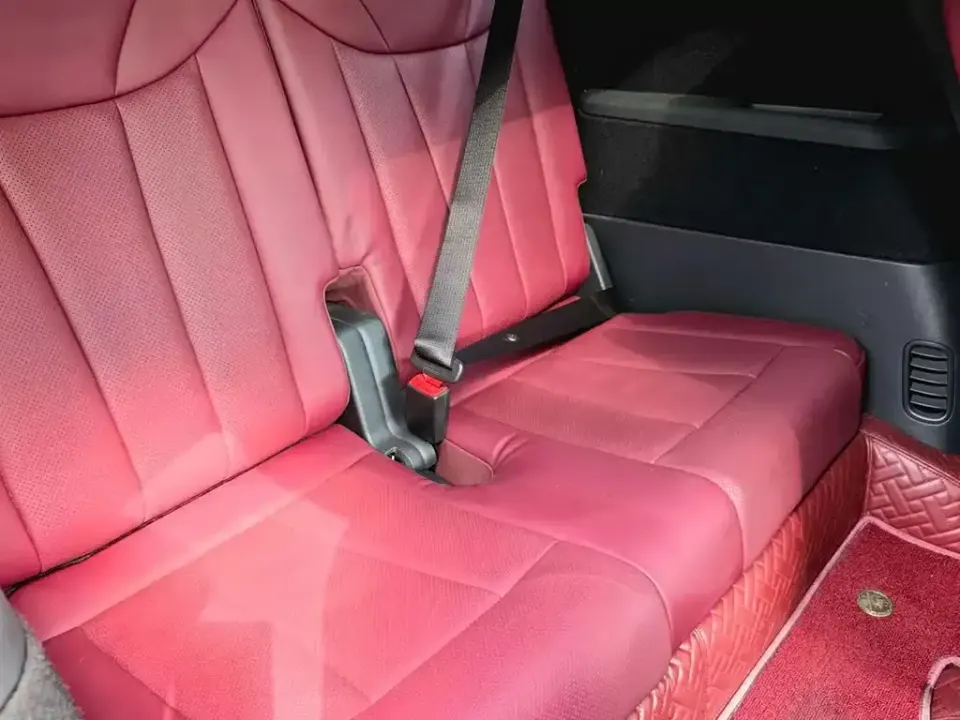 Hongqi Hongqi E-HS9