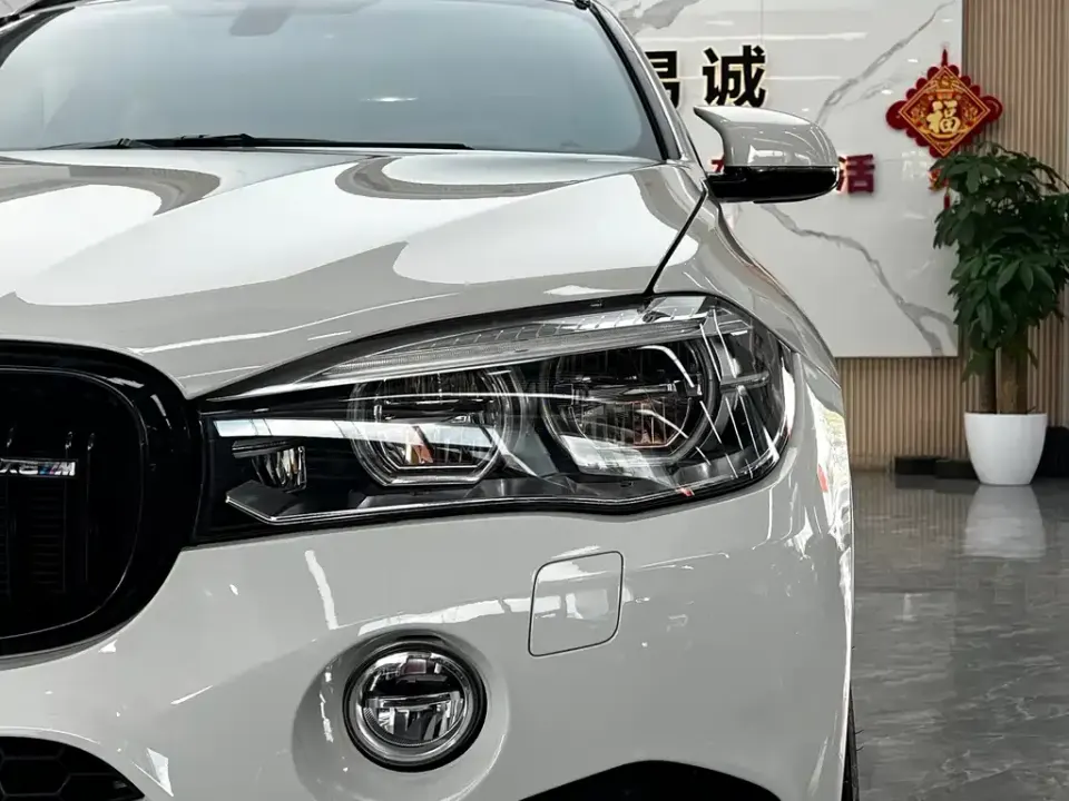 BMW X6 M