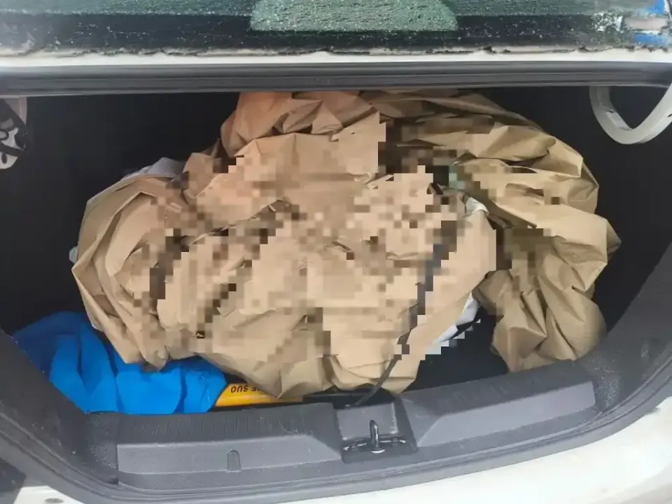 Chevrolet Sail
