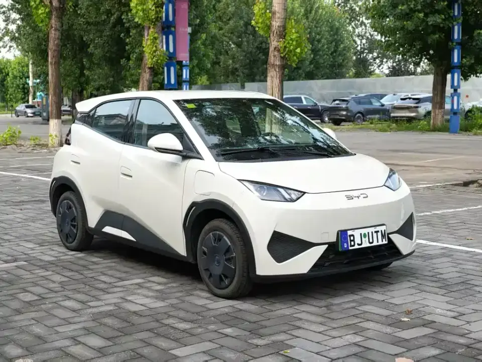 BYD Seagull