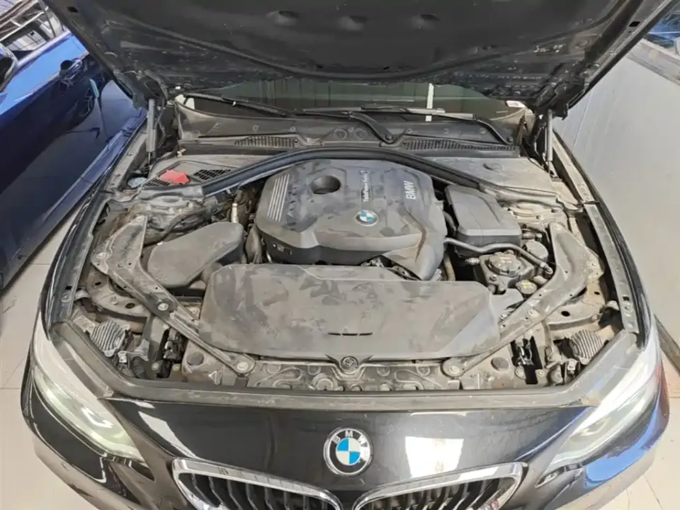 BMW 2 Series (Import)