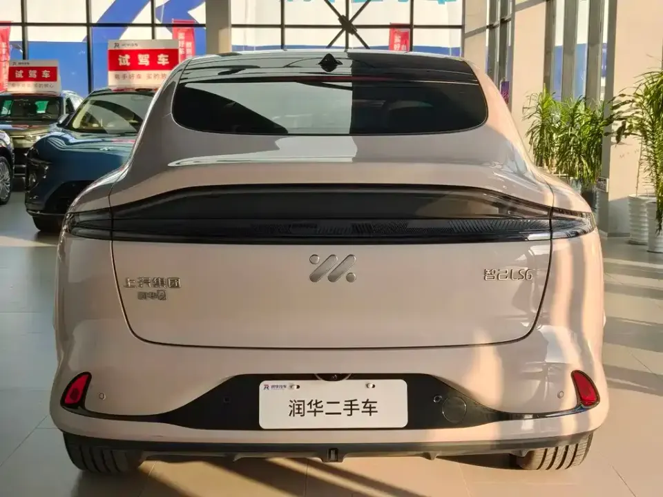 IM Motors IM LS6