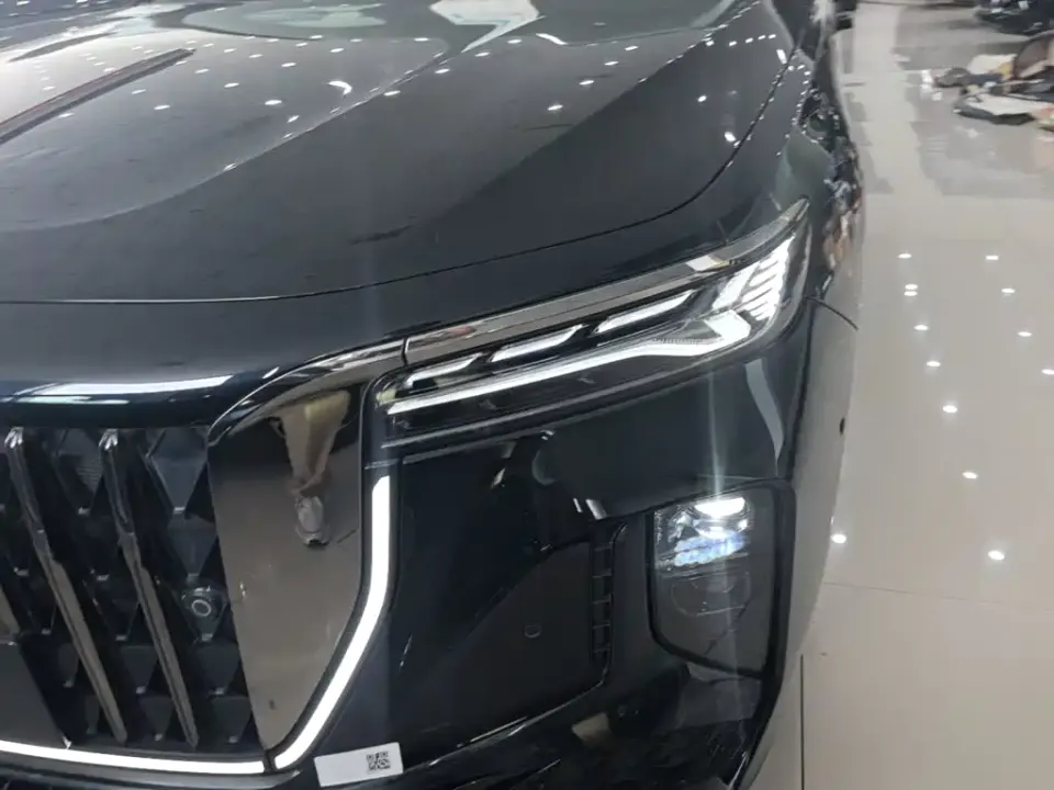 Hongqi Hongqi H9