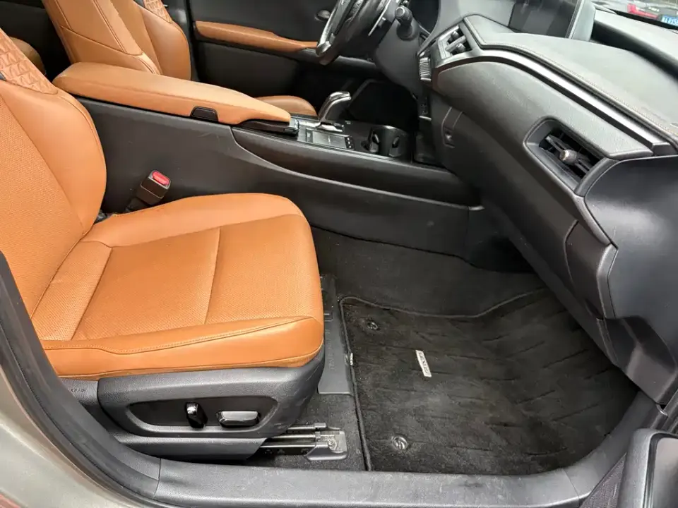 Lexus UX New Energy
