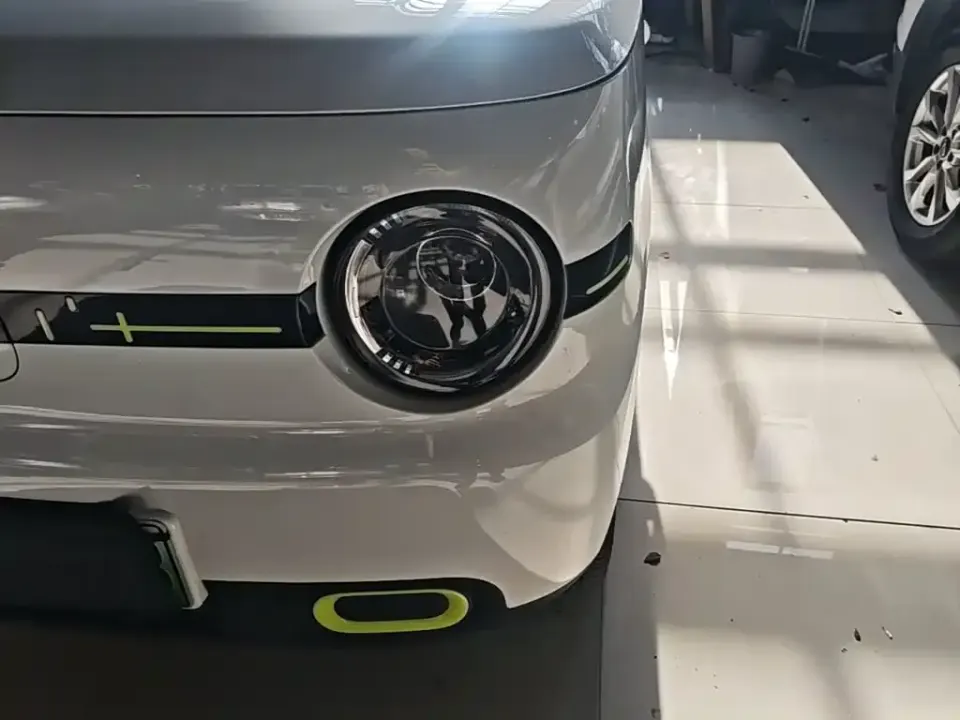 Galaxy Panda