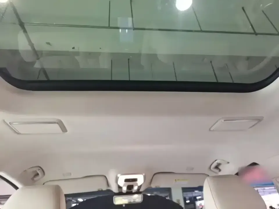 Hongqi Hongqi HQ9