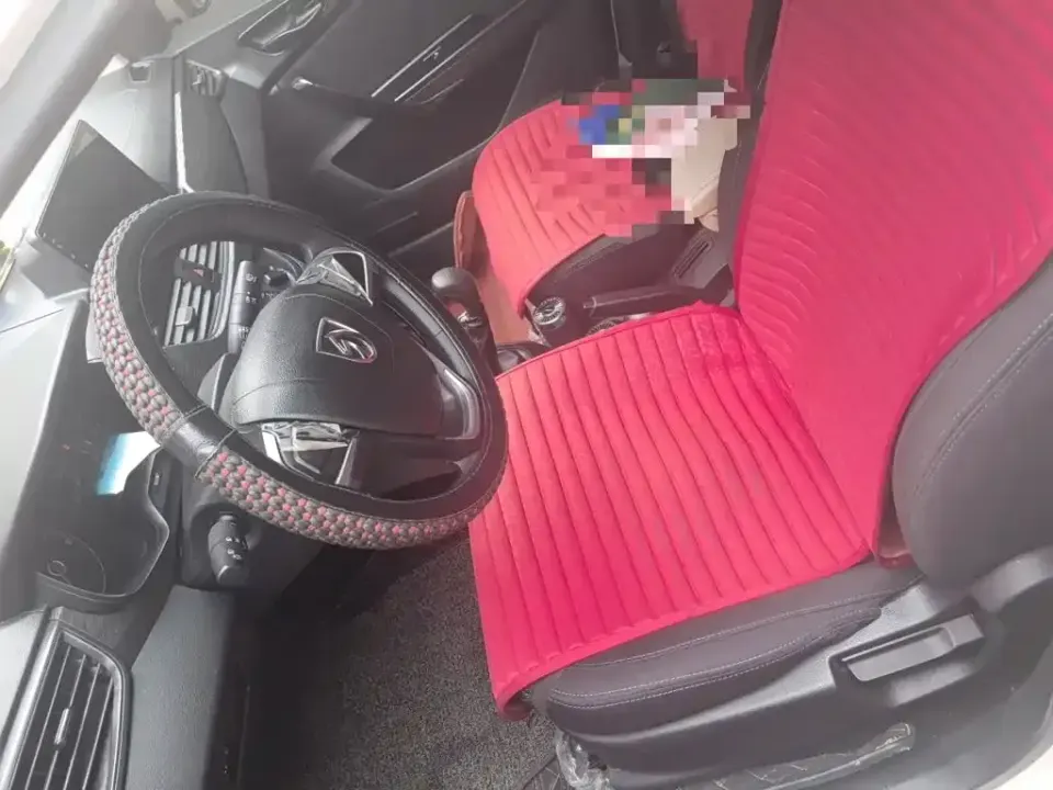 Baojun 310