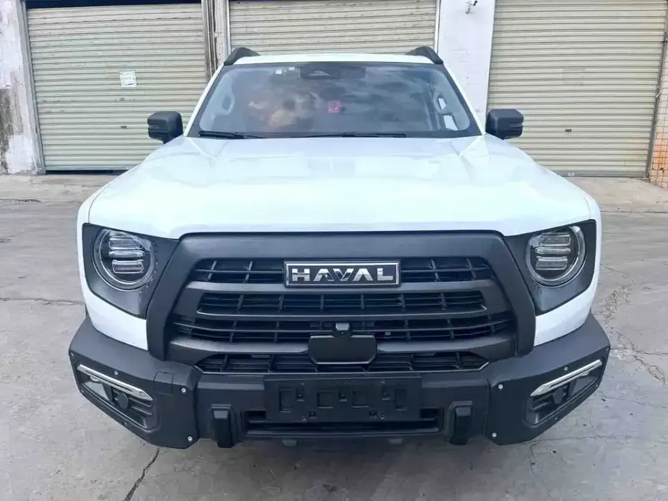 Haval Big Dog