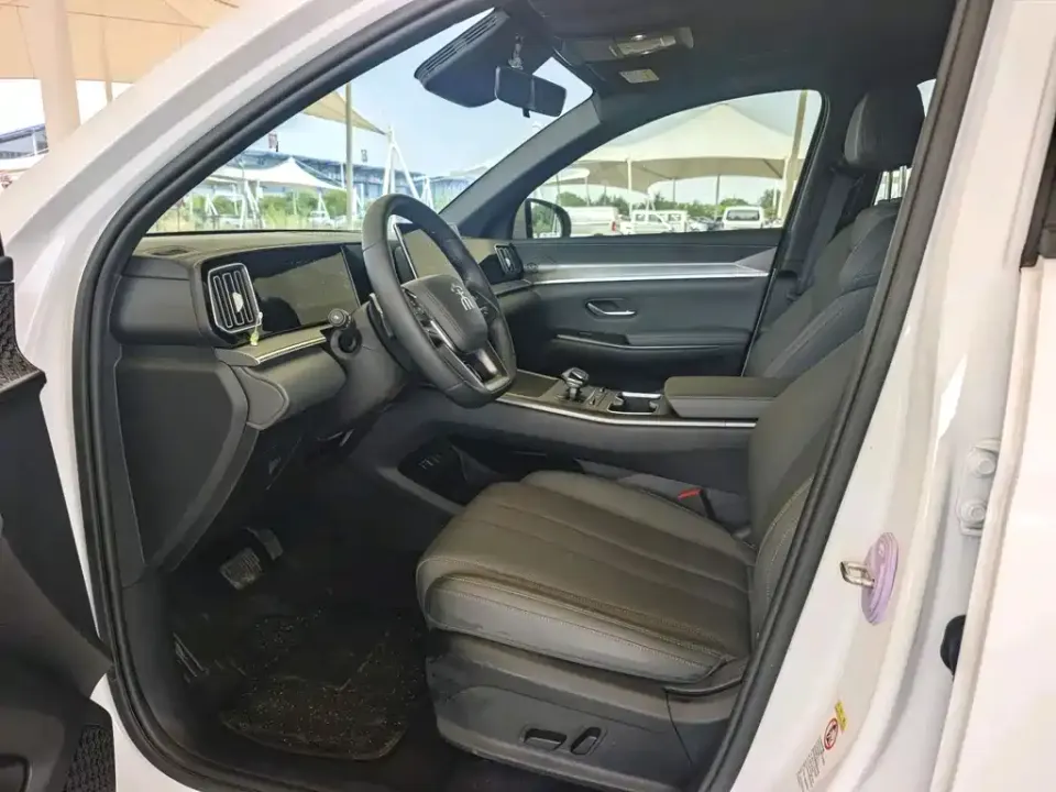 BYD Pro New Energy