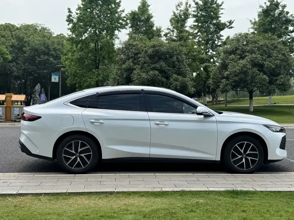 BYD Qin L