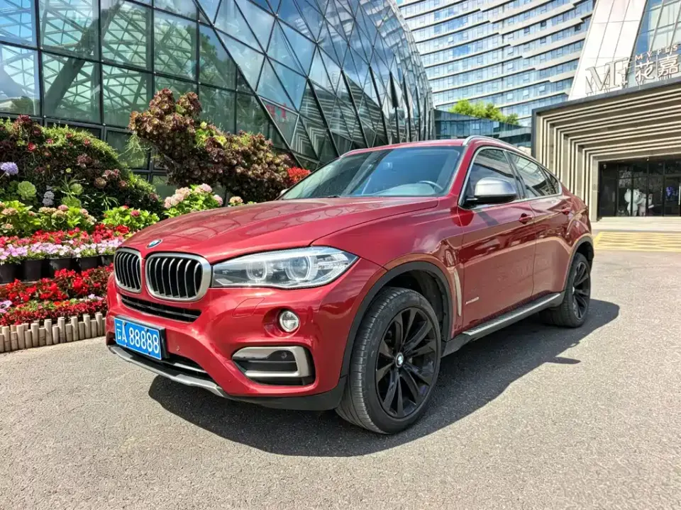 BMW X6