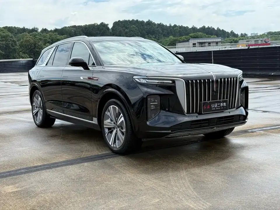 Hongqi Hongqi E-HS9