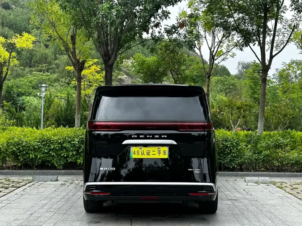 Denza Denza D9