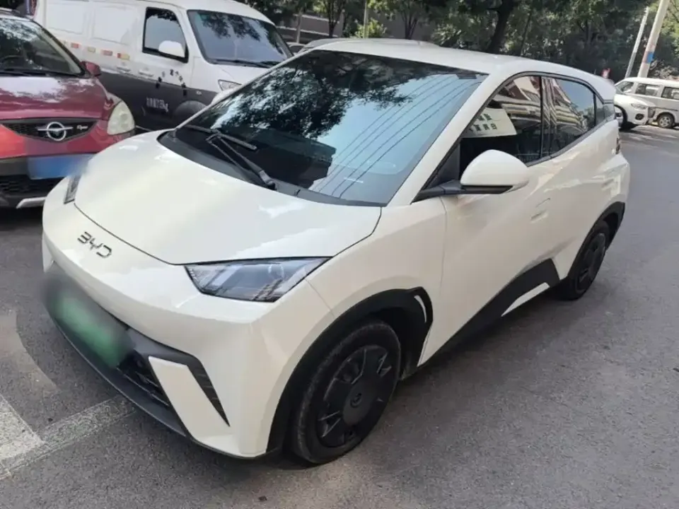 BYD Seagull