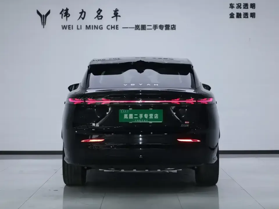 Voyah Zhiyin